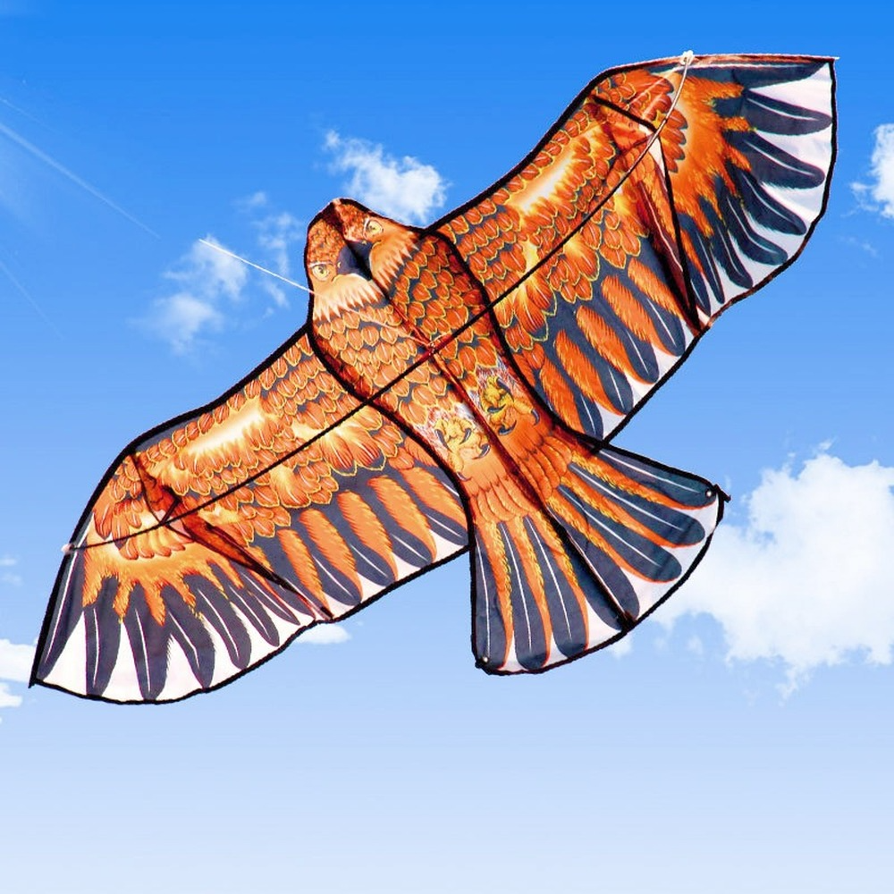 Flat Eagle Kite with 30 Meter  - Kids Outdoor Play Area reseña y precio