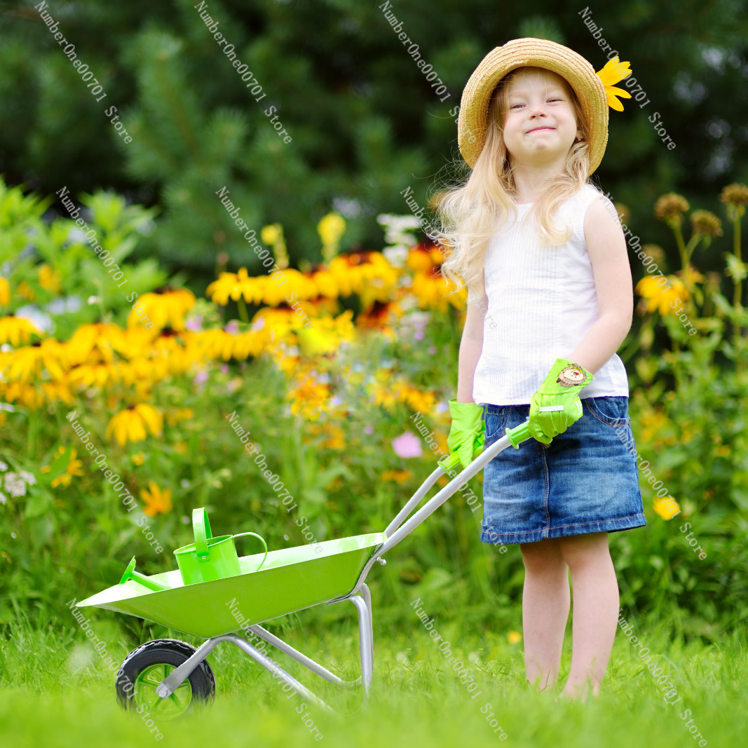 Kids Outdoor Wheelbarrow, Gree - Kids Outdoor Activity Toys reseña y precio