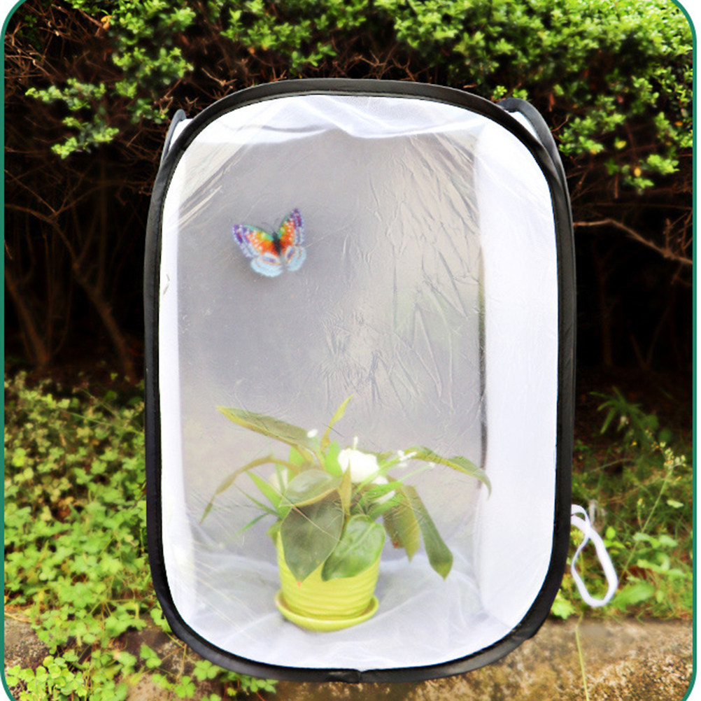 30x30cm Portable White Insect  - Kids Outdoor Tools reseña y precio