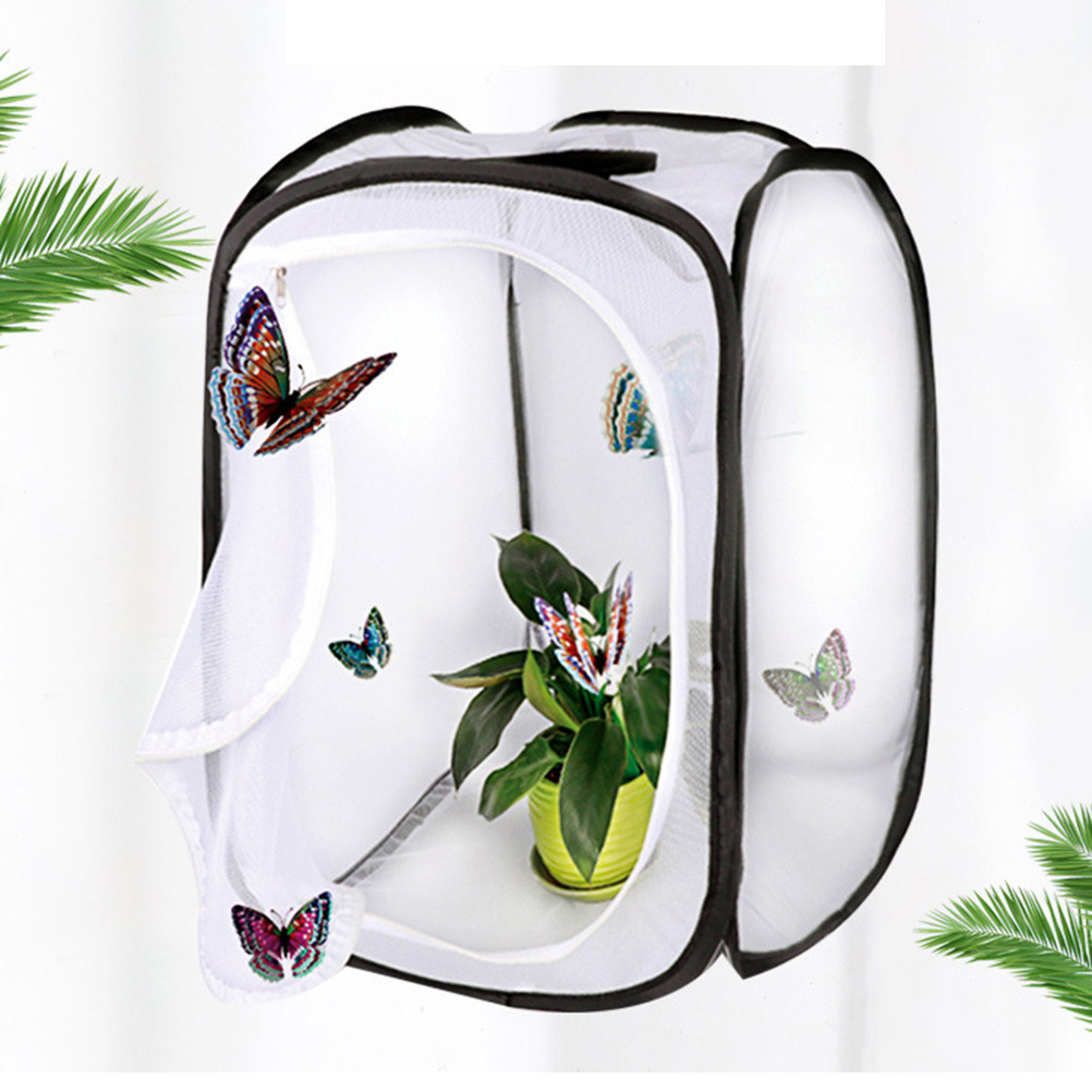 30x30cm Portable White Insect  - Kids Outdoor Tools reseña y precio