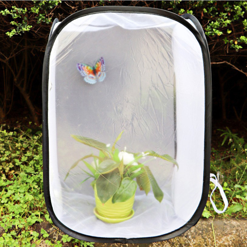 30x30cm Portable White Insect  - Kids Outdoor Tools reseña y precio