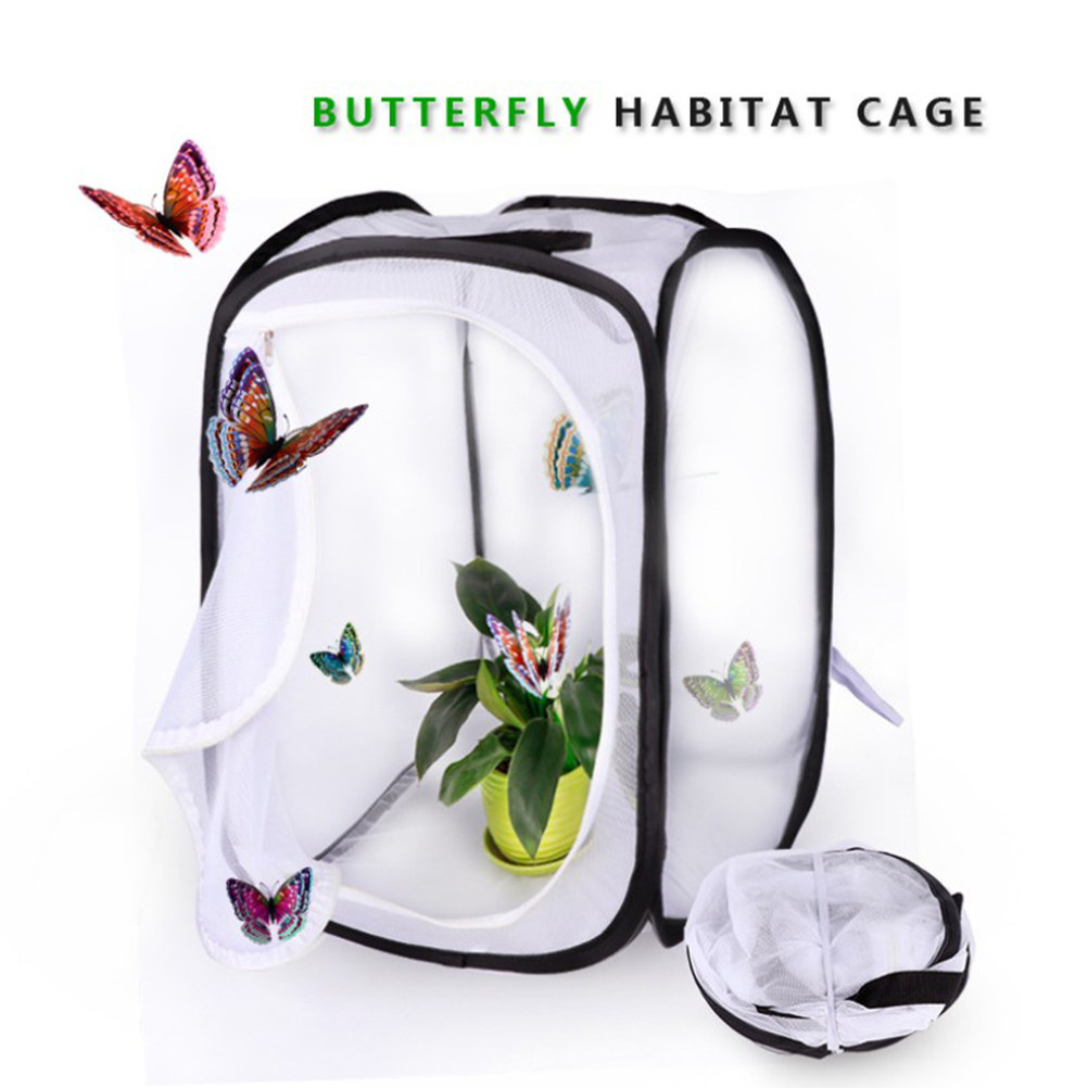 30x30cm Portable White Insect  - Kids Outdoor Tools reseña y precio