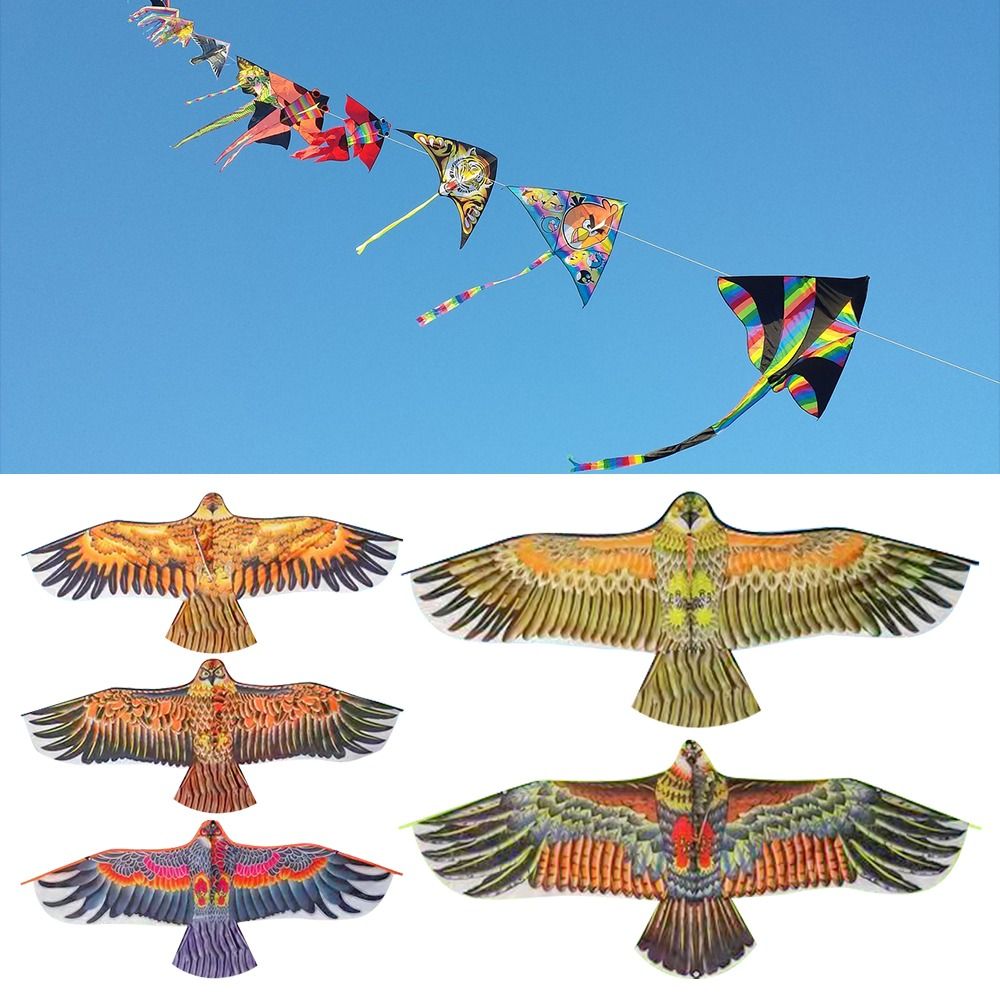 Flat Eagle Kite 1.1m Flying Bi - Kids Outdoor Play Area reseña y precio