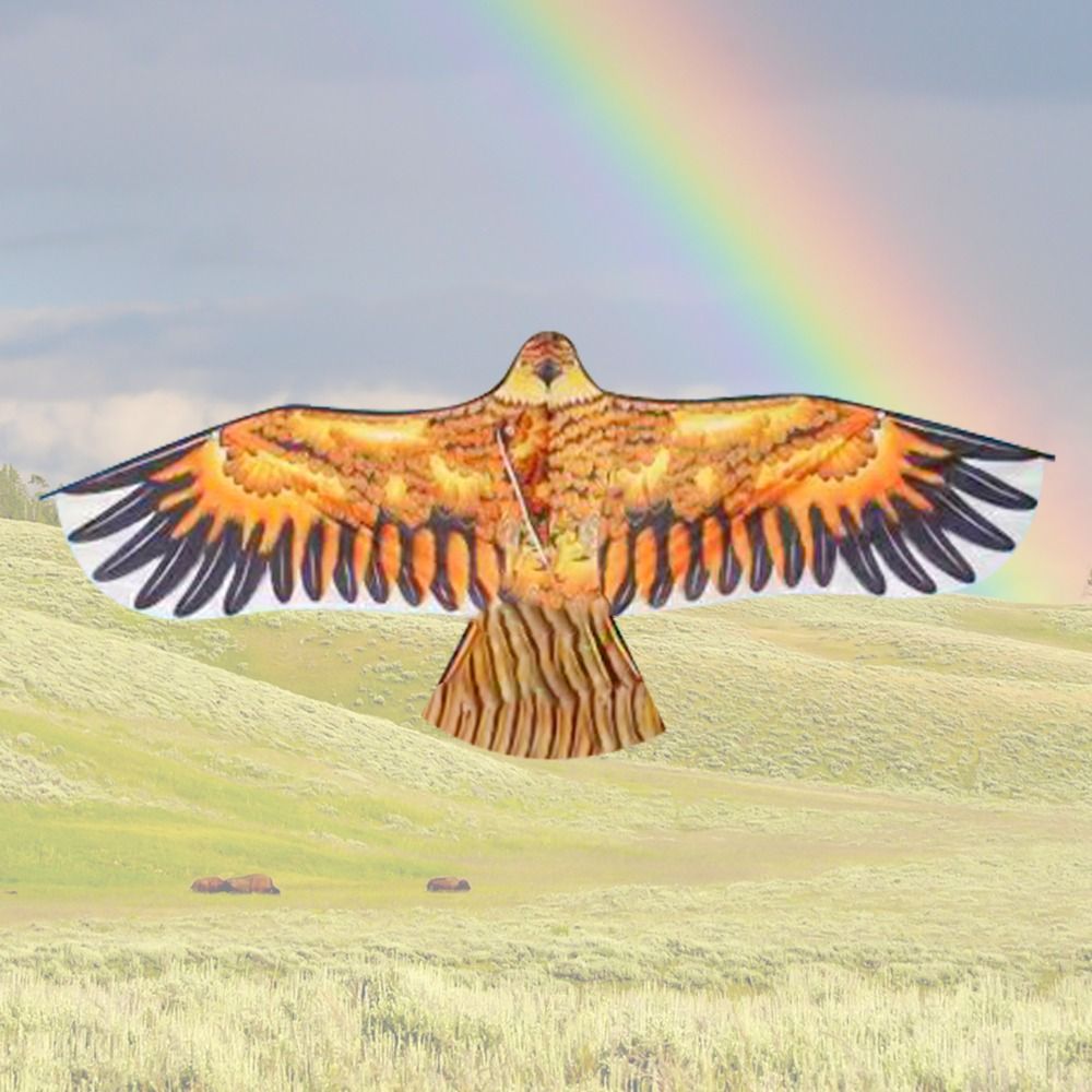 Flat Eagle Kite 1.1m Flying Bi - Kids Outdoor Play Area reseña y precio