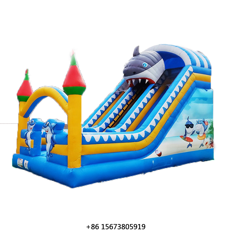 Rentable Small Inflatable Slid - Kids Outdoor Playground reseña y precio