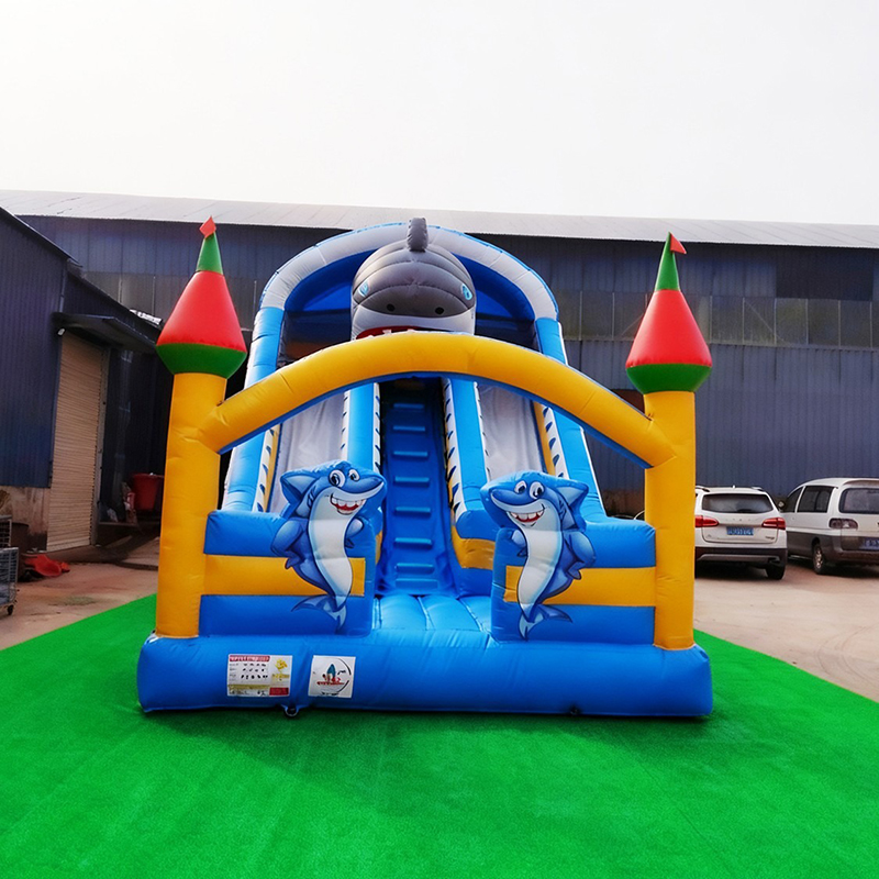 Rentable Small Inflatable Slid - Kids Outdoor Playground reseña y precio